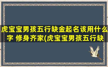 虎宝宝男孩五行缺金起名该用什么字 修身齐家(虎宝宝男孩五行缺金起名字推荐，打造修身齐家的好名字！)